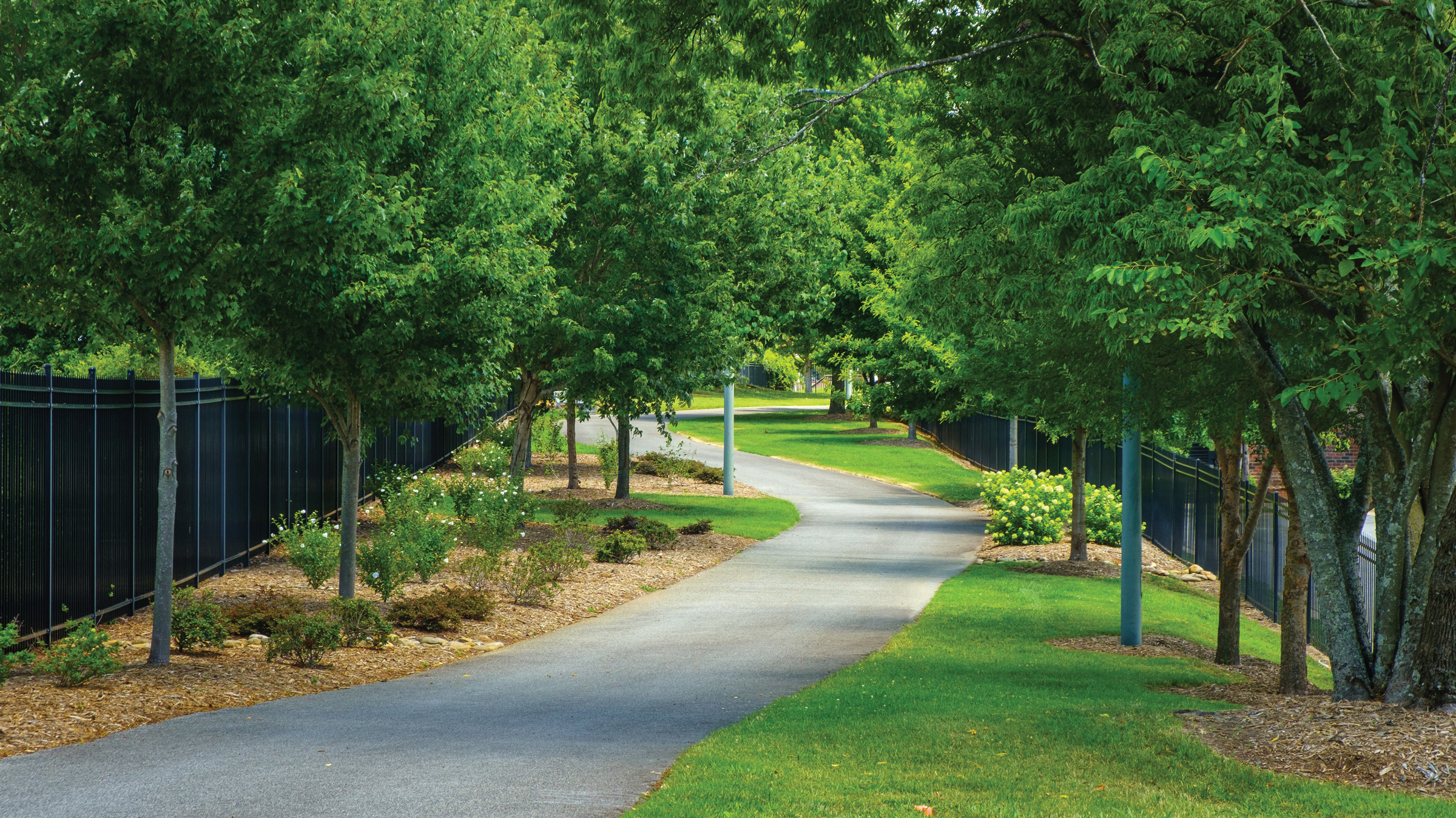 winding path on the Greensboro Downtown Greenway