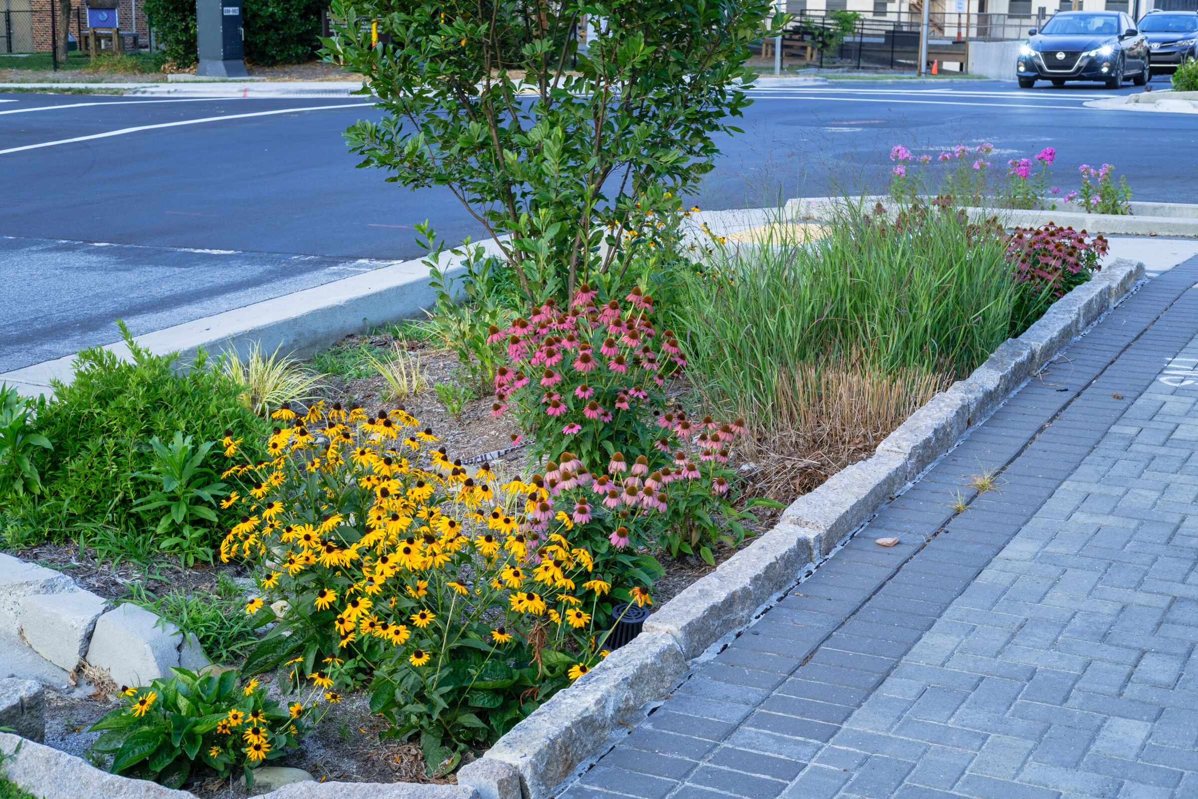 Downtown Greenway Eco-Gardens