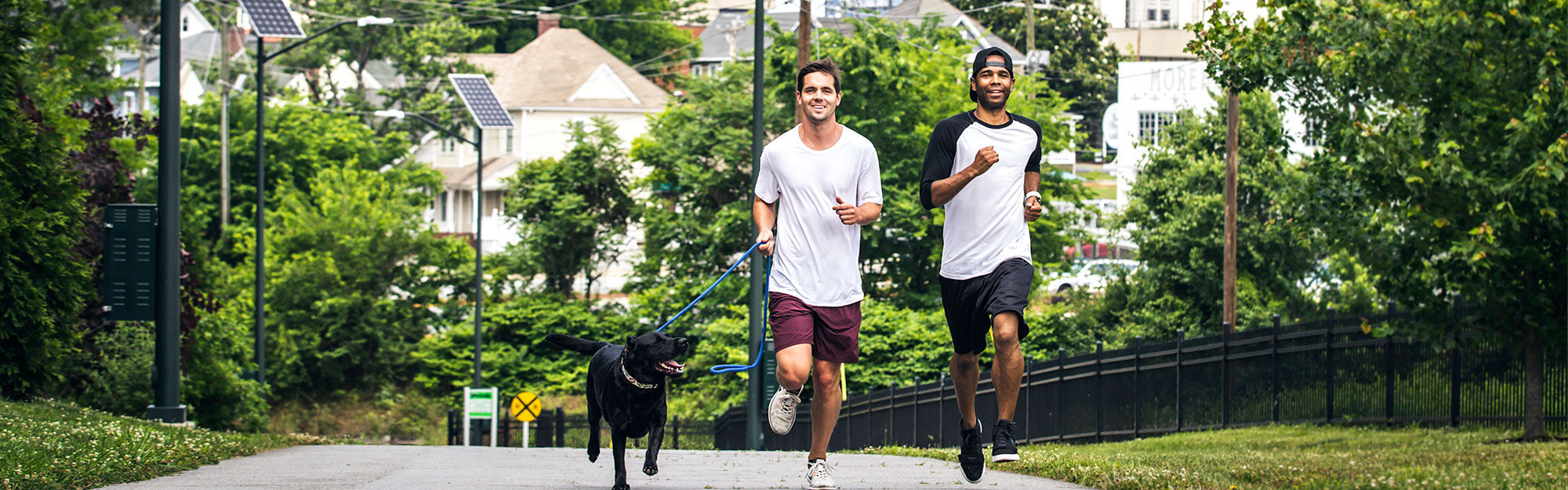 Runners with a dog on the Downtown Greenway