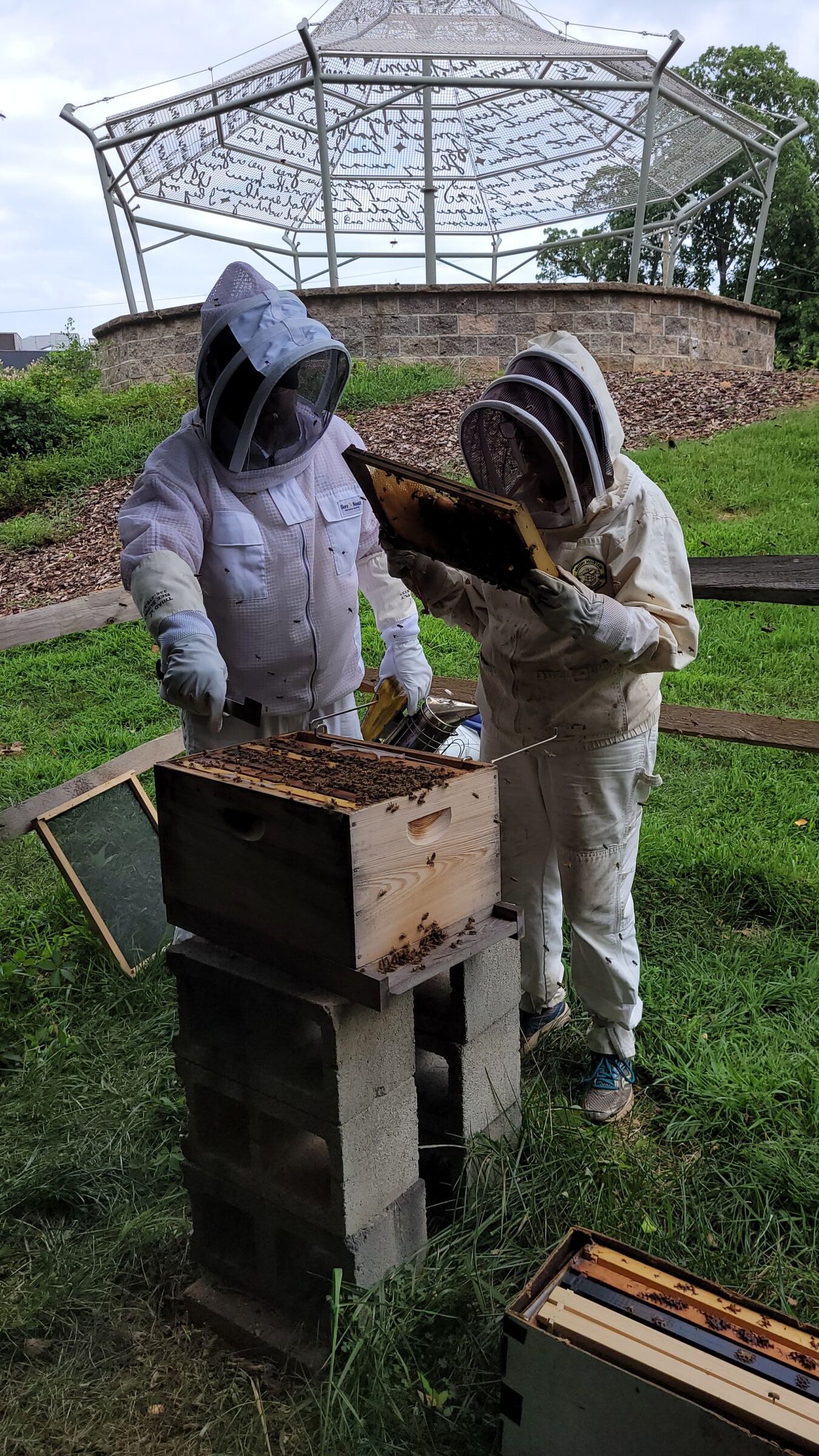 Beekeepers tending to bees at community hives along Downtown Greenway